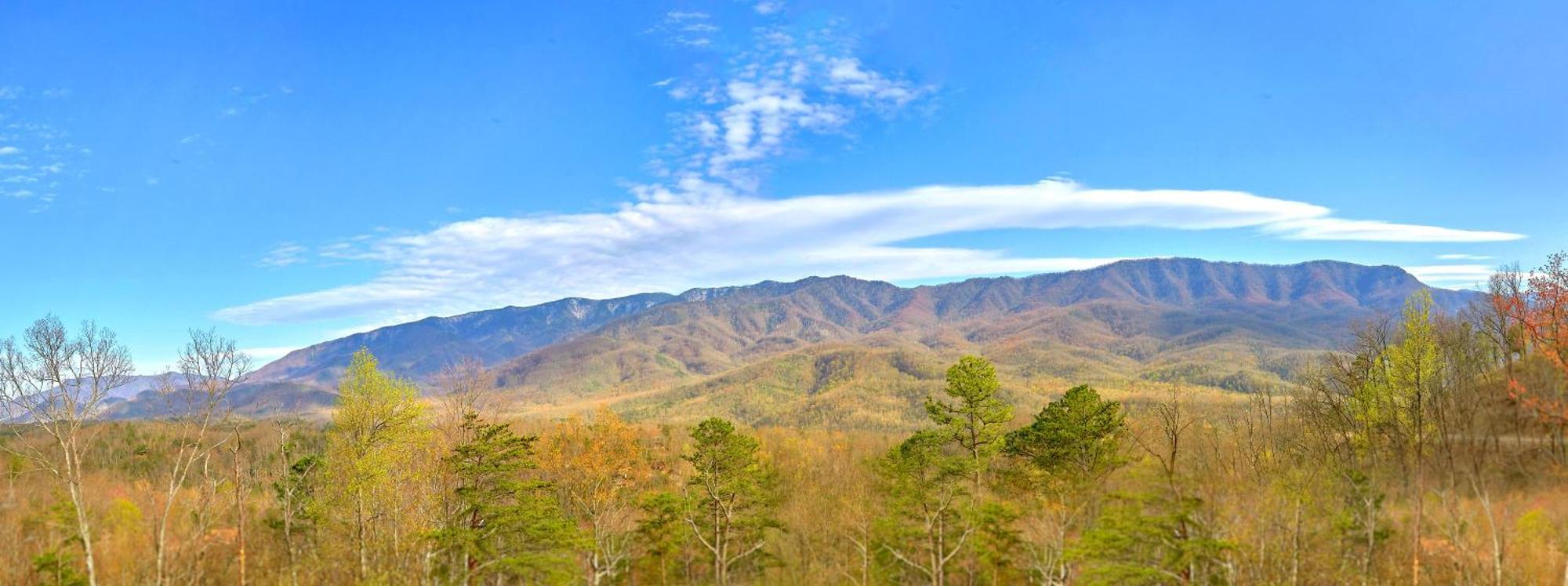 Misty Mountain Adventure Lodge 개틀린버그 외부 사진